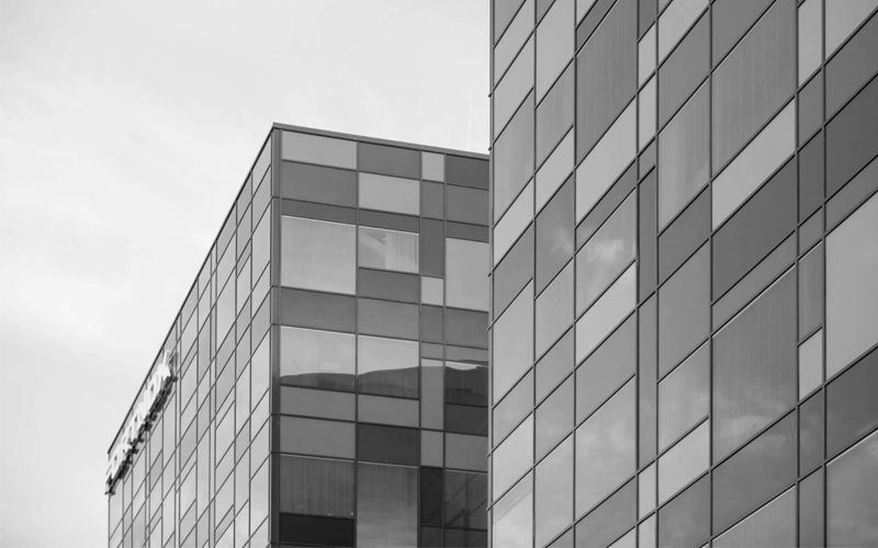 Närbild på Fortnox mot mulen himmel i svartvitt